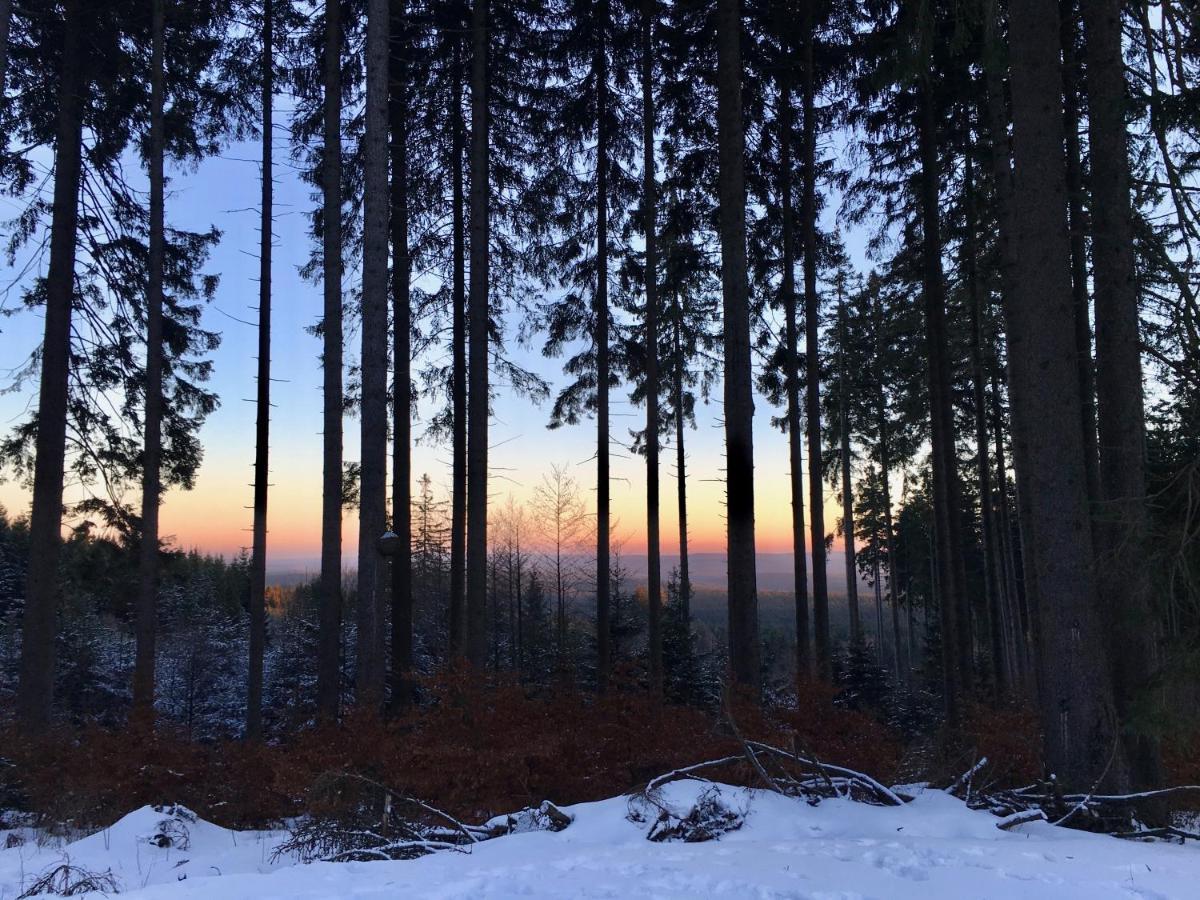 FeWo HarzRomantik Braunlage Exterior foto